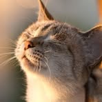 Aleksandr Vainer - Facebook Profile Picture of Aleksandr Vainer (@Aleksandr-Vainer) on Facebook