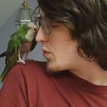 Kyle Newport - Instagram Profile Picture of Kyle Newport (@findmeunderthefigtree) on Instagram