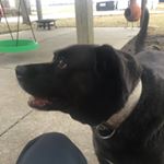 Profile Picture of Isaac Franks (@ifranks05) on Instagram