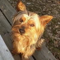 Profile Picture of Cynthia Larose (@cynthia-larose-8) on Quora