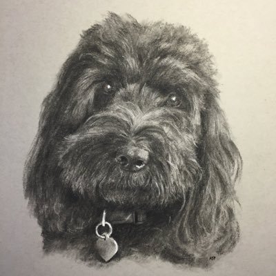 Profile Picture of Patrick Fahy Feng (@FahyFeng) on Twitter