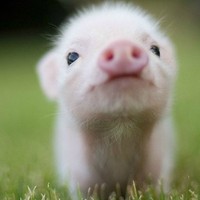 Profile Picture of Sean Bowers (@sean-bowers-14) on Quora