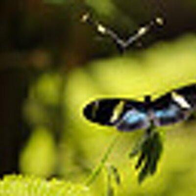 Profile Picture of Matt Sharma (@fryingsquirt) on Twitter