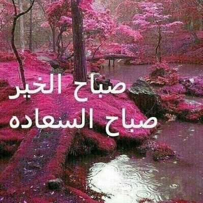 Profile Picture of جمال متي (@gamalmatta117) on Twitter