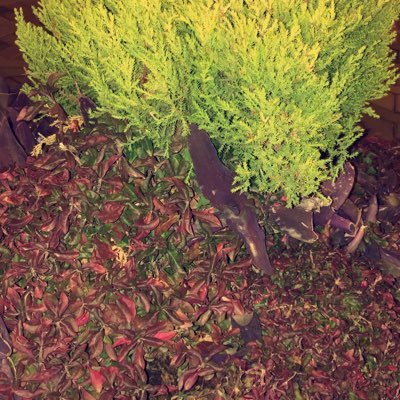 Profile Picture of Ikram Abdi (@ikramabdi17) on Twitter