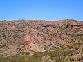 Profile Picture of Sierra Ladrones Formationon Wikipedia