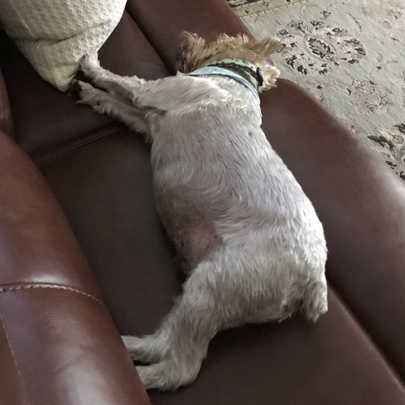 Profile Picture of Julia Held (@juliaann123) on Poshmark