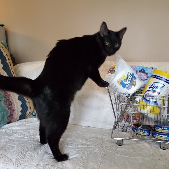 Profile Picture of Linsi Linsi (@linsi_linsi) on Poshmark