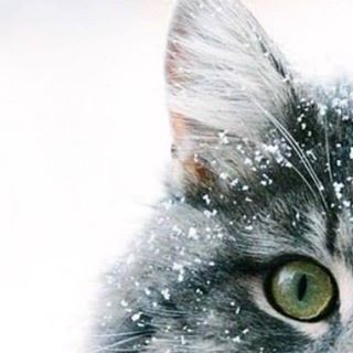 Leighann Rose Crumplin - Facebook Profile Picture of Leighann Rose Crumplin (@leighannrose) on Facebook