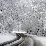 Profile Picture of Brent Meier (@brent.meier.125) on Instagram