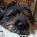 Profile Picture of Bobbi Jo Enriquez (@bobbijo430) on Pinterest