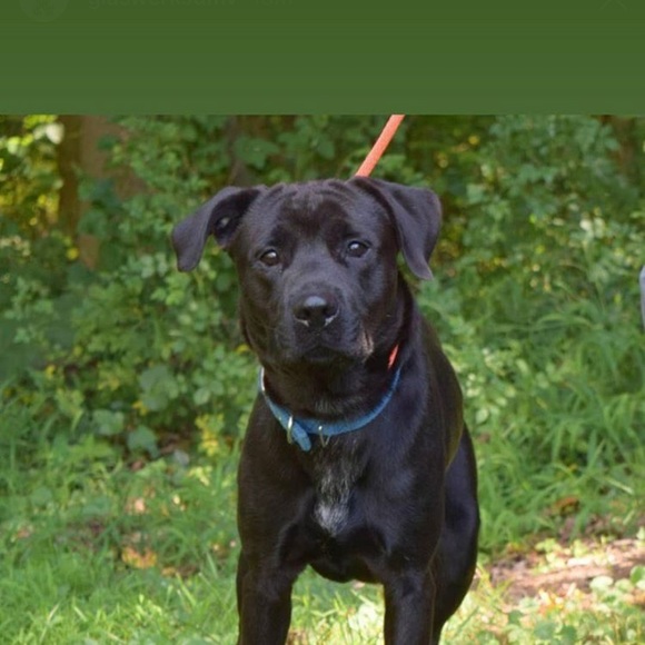 Profile Picture of Julian Olivares (@mlgamer62) on Poshmark