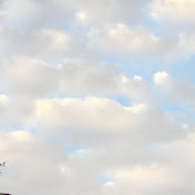 Jackie Johnston - Youtube Profile Picture of Jackie Johnston (@jackiejohnston5458) on Youtube