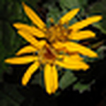 Profile Picture of Tony Deeb (@deeb landscapes) on Flickr