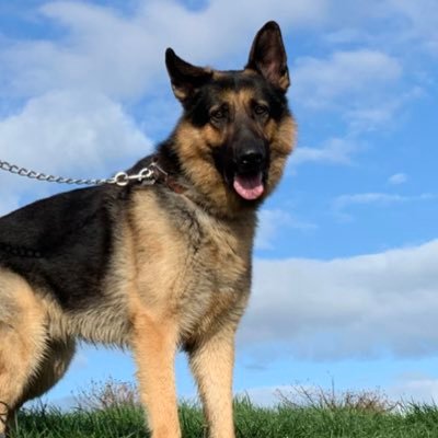 Profile Picture of Hayley Theodorou (@WadeHwade1) on Twitter