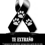 Profile Picture of Kassandra (@casey_richardb) on Instagram