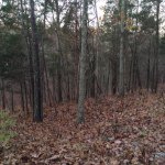 Profile Picture of Scott A Ising (@asising) on Instagram