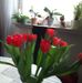 Profile Picture of Christa Gerlach (@christa.gerlach.927) on Facebook