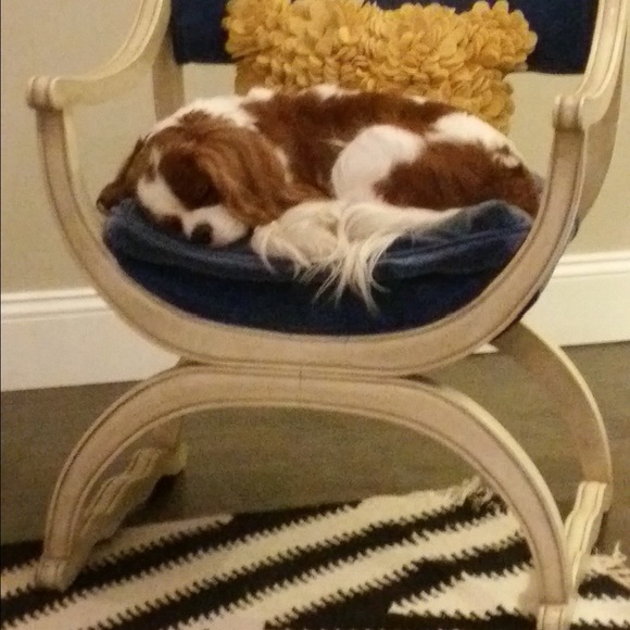 Profile Picture of Jaclyn Walker (@jgiandalia) on Poshmark