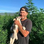 Profile Picture of steven-kushman (@stevenkushman0) on Instagram