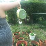 Profile Picture of Randi & James (@boston_pots_garden) on Instagram