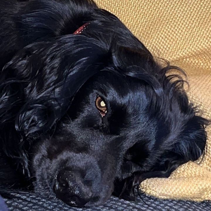 Profile Picture of Craig Aiken (@@craigaiken) on Tiktok