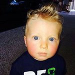 Profile Picture of Brian Ristow (@brianristow) on Instagram