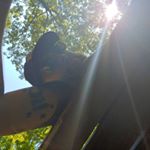 Profile Picture of Steven DuPont (@barber_dupont) on Instagram