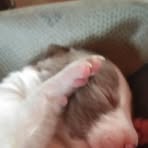 Profile Picture of Cathy Border (@cathy.border.1) on Facebook