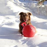 Profile Picture of Mike Barry (@mike-barry-35) on Quora