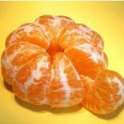 Profile Picture of T Rene Miner (@i_scan_u) on Twitter