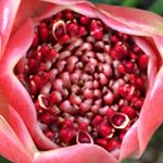 Profile Picture of Jared Rempel (@jaredinthefresh) on Instagram