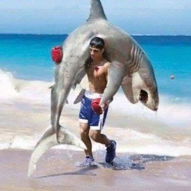 Profile Picture of Ryan McShea (@ryanmc00) on Twitter