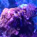 Profile Picture of Scott Rutherford (@scott.rutherford.370177) on Facebook