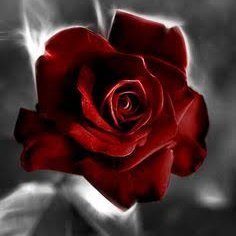 Profile Picture of Sandra Gascón (@Sandragascn2) on Twitter