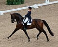 Profile Picture of Dressageon Wikipedia