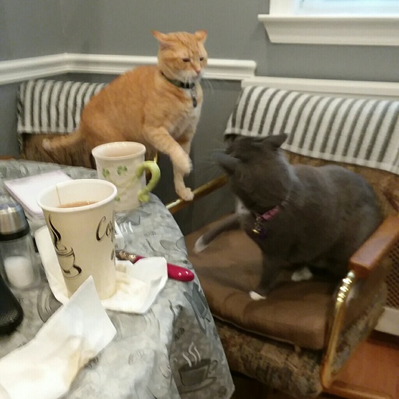 Profile Picture of Mary Shalvey (@marys46) on Poshmark