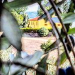 Profile Picture of Rifugio La Foresta (@rifugiolaforesta) on Instagram