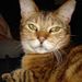 Profile Picture of John Wider (@wider2483) on Pinterest