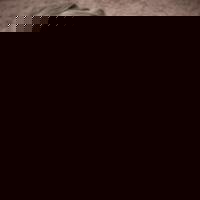 Profile Picture of Taylor-allison Elizabeth Mcentire (@202783699) on Myspace