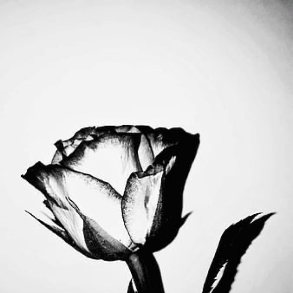 Profile Picture of Hannah grace Wortman (@h_wortman) on Poshmark