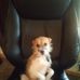 Profile Picture of Jesse Vance (@jesse.vance.14418) on Facebook