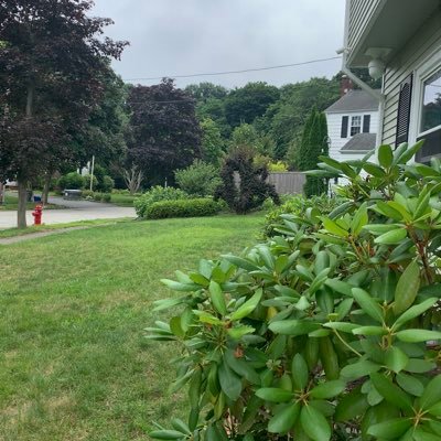 Profile Picture of Liang Zheng (@liangZheng17) on Twitter