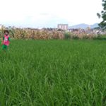 Profile Picture of Anil Jha (@anil.jha1) on Instagram