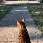 Profile Picture of Ashley Tomaszewski (@atom327) on Instagram