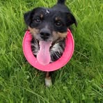 Profile Picture of Carol Bayes (@carol.bayes.3) on Facebook