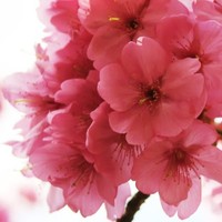 Profile Picture of Andrea Leszkó (@andrea-leszkó) on Quora