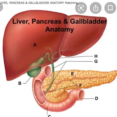 Profile Picture of Dr. Andy Phung (@drandyphung) on Twitter