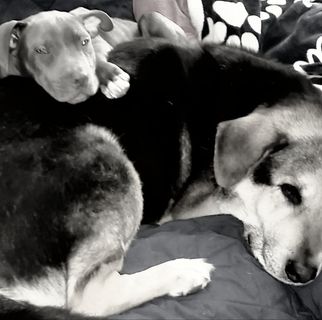 Profile Picture of John Bannon (@john.bannon.98284) on Facebook