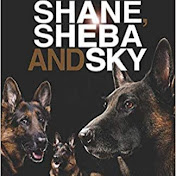 Profile Picture of Paul Viner (@ShaneShebaSky) on Youtube